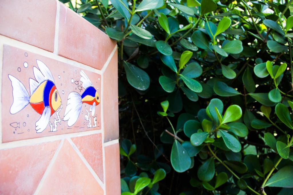 Pousada da Mata Iriri Bagian luar foto